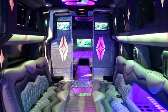 HDTVs in limo